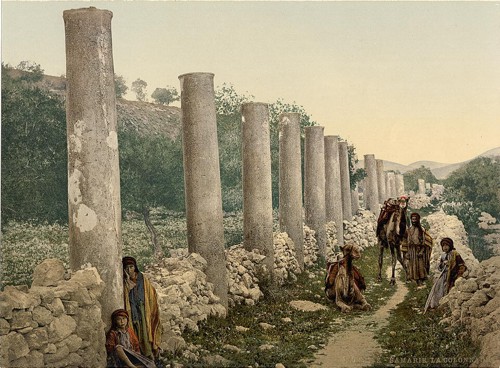 [The colonnade, Samaria, Holy Land]