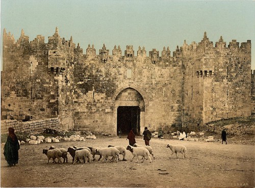 [The Damascus Gate, Jerusalem, Holy Land]
