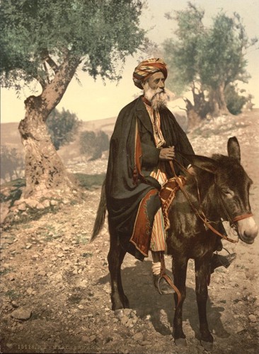[Native of Bethlehem on his donkey, Holy Land, (i.e., West Bank)]